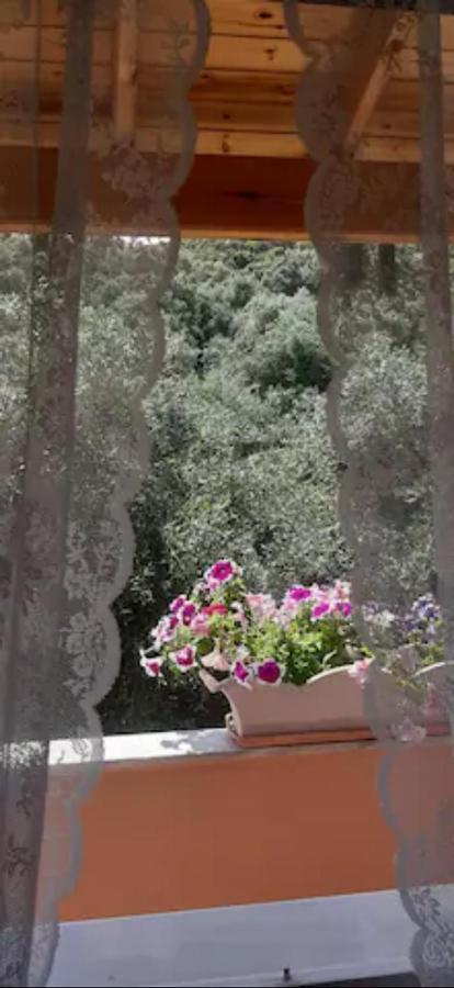 Corfu  Armonia Apartments מראה חיצוני תמונה