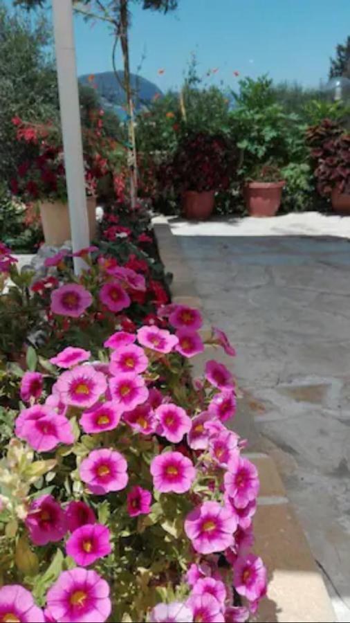 Corfu  Armonia Apartments מראה חיצוני תמונה